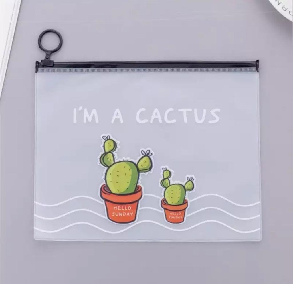 تصویر پوشه Cactus A5