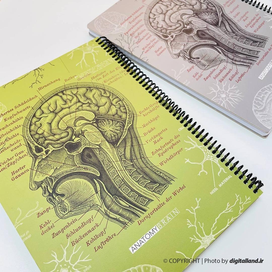 تصویر دفتر رحلی دات نوت Brain